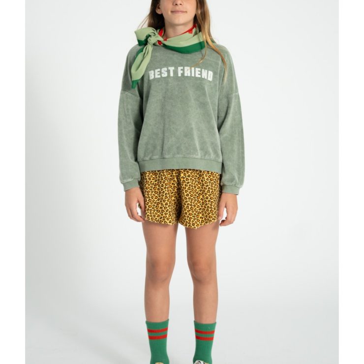 SHORT PRINT ANIMAL PIUPIUCHICK